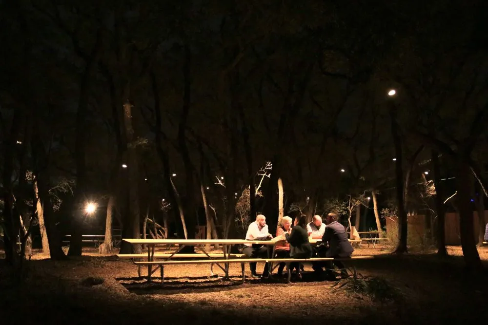 Affordable landscaping services for year-round maintenance across Austin, TX - Luminary Lights Austin