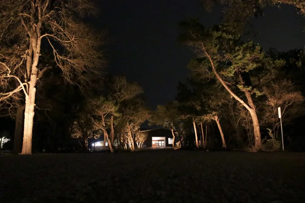 Professional yard maintenance in Austin, TX by Luminary Lights Austin