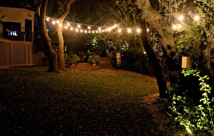 Top-rated outdoor landscaping for year-round maintenance in Austin, TX by Luminary Lights Austin