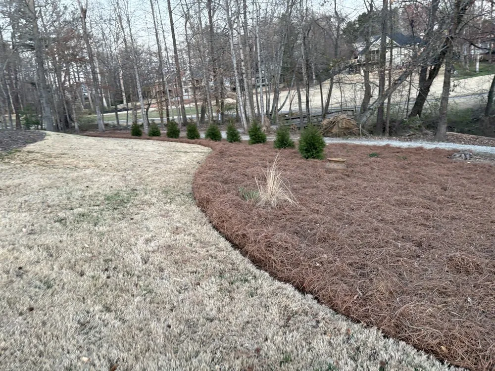 Affordable yard cleanup service in Easley, SC by Luminosity Outdoor Lighting