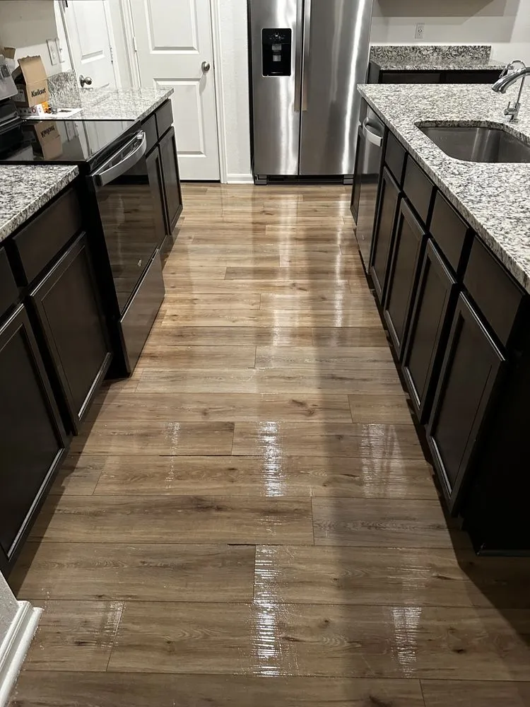 Trusted yard maintenance for year-round maintenance across San Antonio, TX - Luminous Brilliance