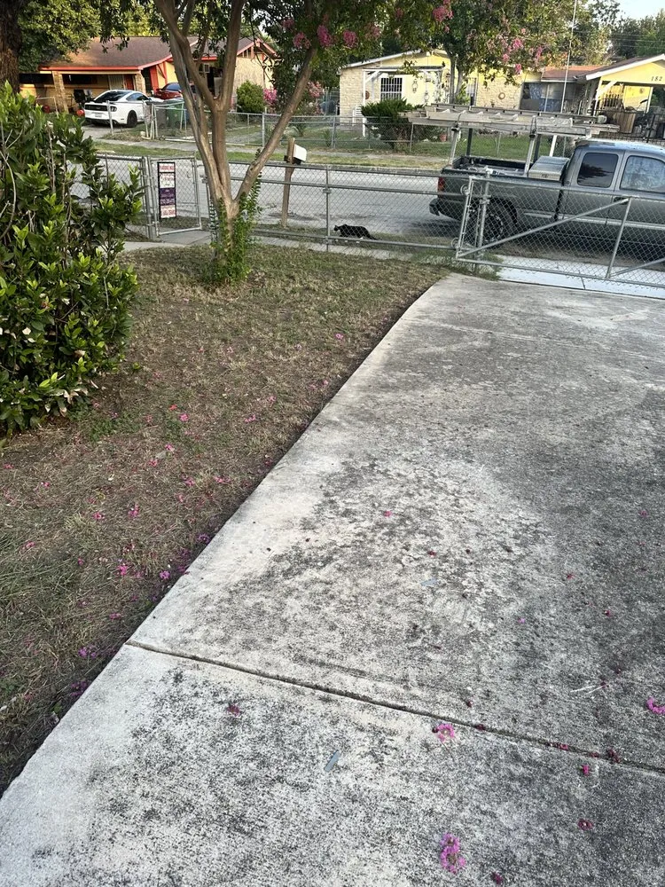 Top-rated outdoor landscaping in San Antonio, TX - Luminous Brilliance