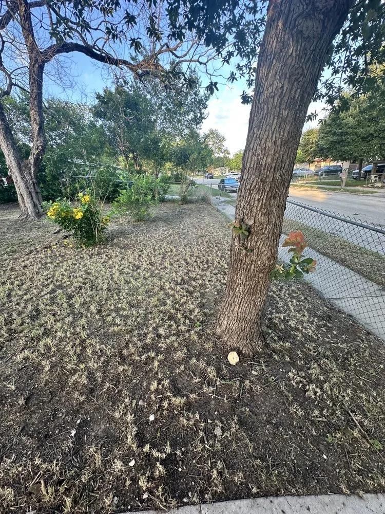 Expert lawn care service in San Antonio, TX - Luminous Brilliance