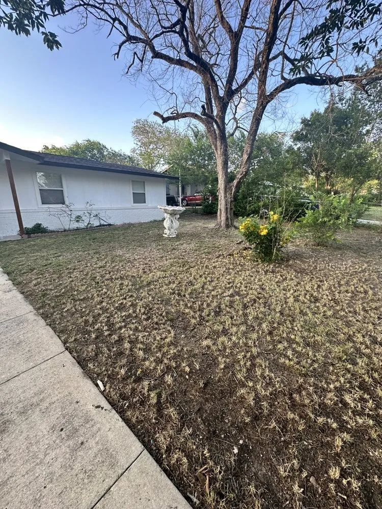 Top-rated landscaping services for beautiful yards in San Antonio, TX by Luminous Brilliance