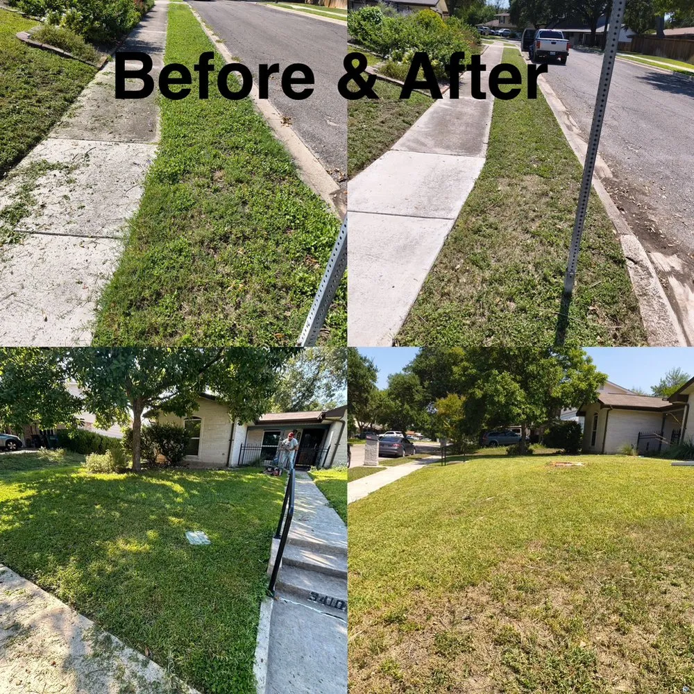 Custom garden landscaping for homes across San Antonio, TX - Luminous Brilliance