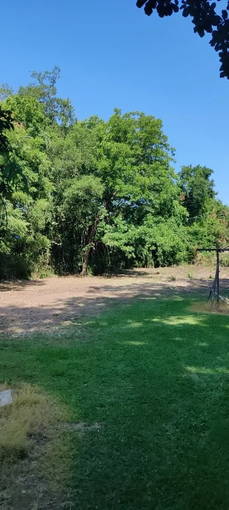 Expert outdoor landscaping near you across Canton, TX - Luminous Contractors