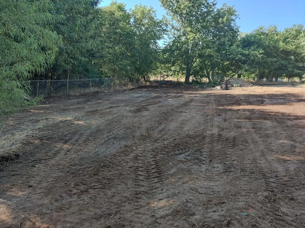 Local lawn care service for homes in Canton, TX by Luminous Contractors