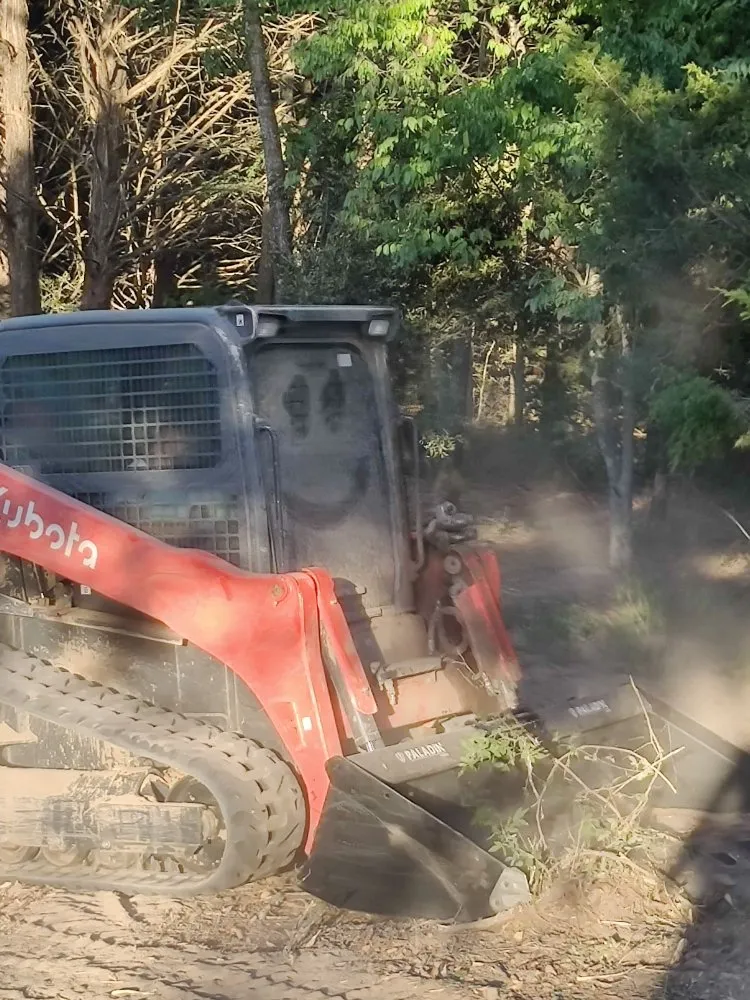 Professional garden landscaping for year-round maintenance in Canton, TX by Luminous Contractors