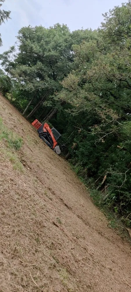 Affordable lawn care service in Canton, TX - Luminous Contractors