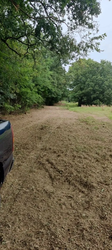 Reliable lawn care service in Canton, TX by Luminous Contractors