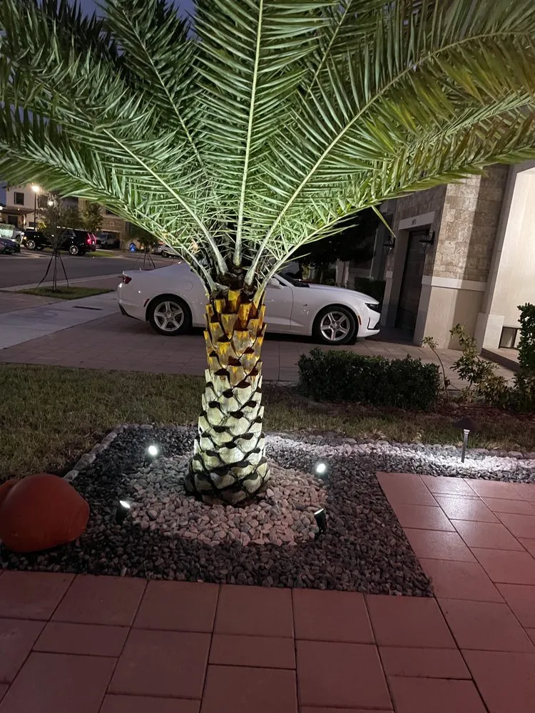 Professional landscape design in Miami, FL by Luminous Lightscape