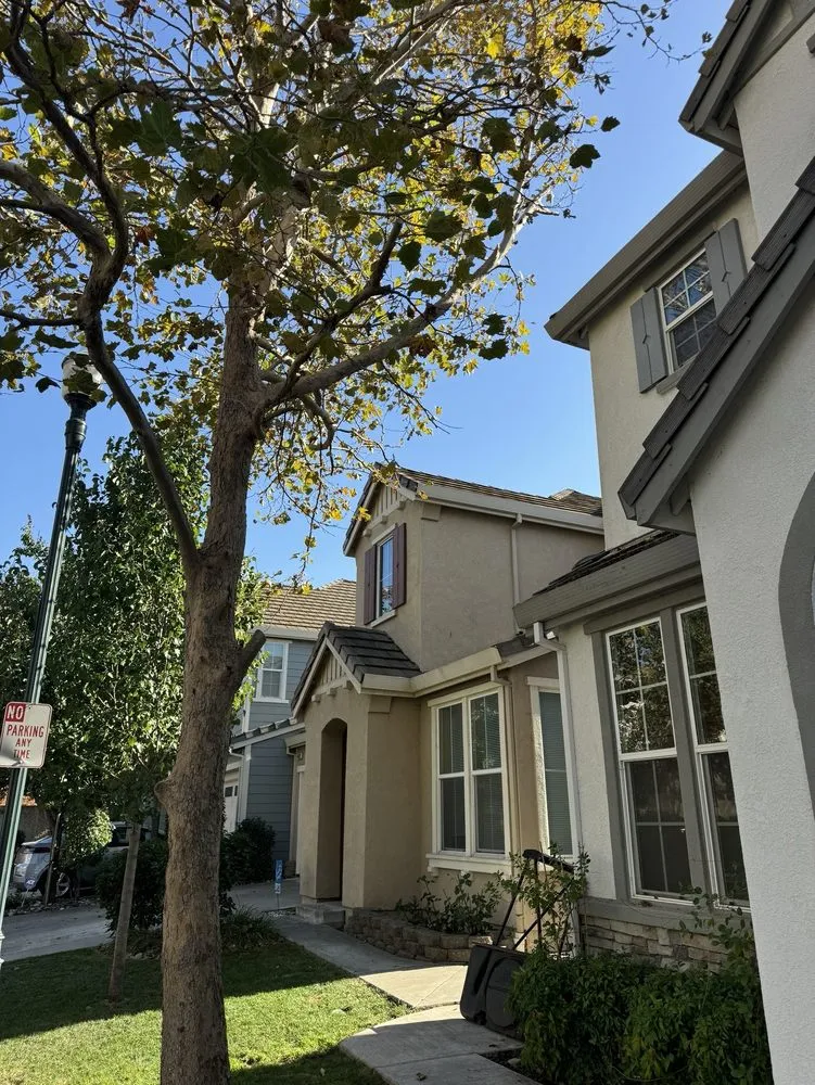 Local garden landscaping experts serving Suisun City, CA - Lumplumps Landscaping