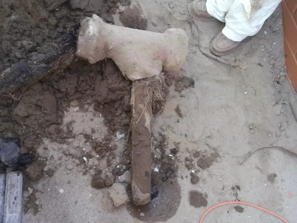 Expert outdoor landscaping for outdoor upgrades in San Fernando Valley, CA by Luna & Sol Services