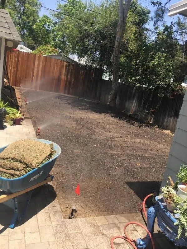 Trusted yard cleanup service in San Fernando Valley, CA - Luna & Sol Services
