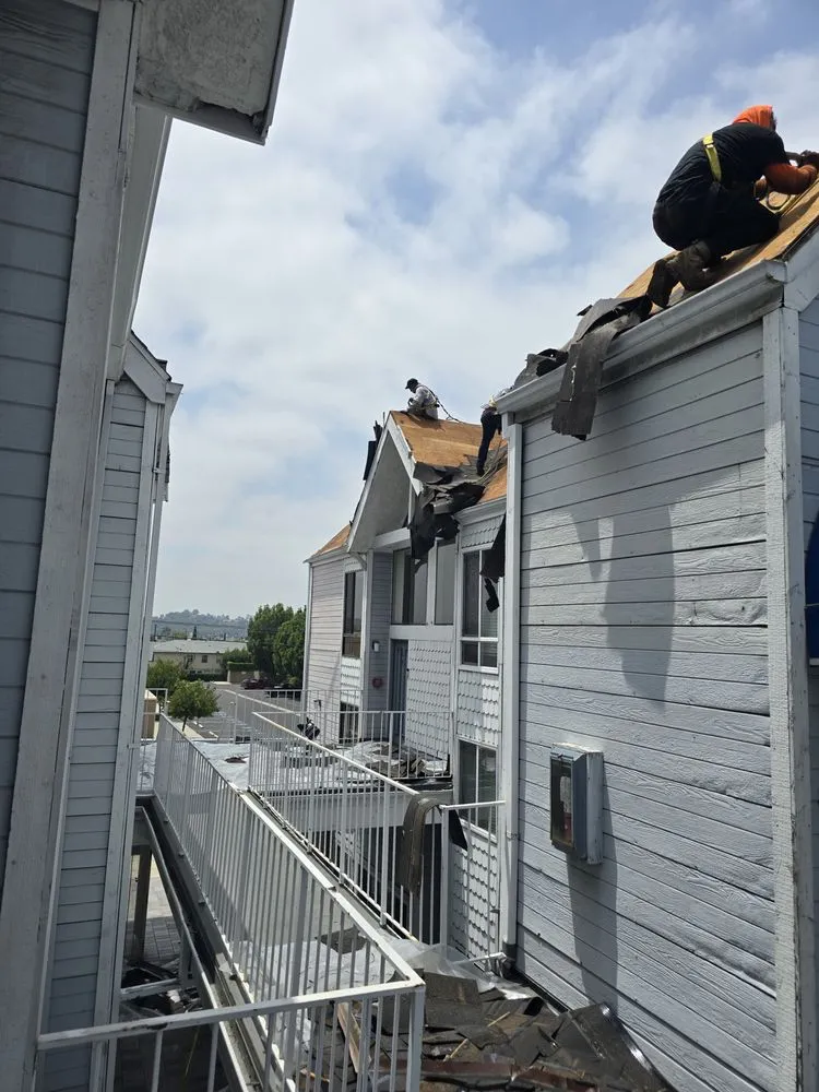 Top-rated landscape installation with custom design across San Fernando Valley, CA - Luna & Sol Services