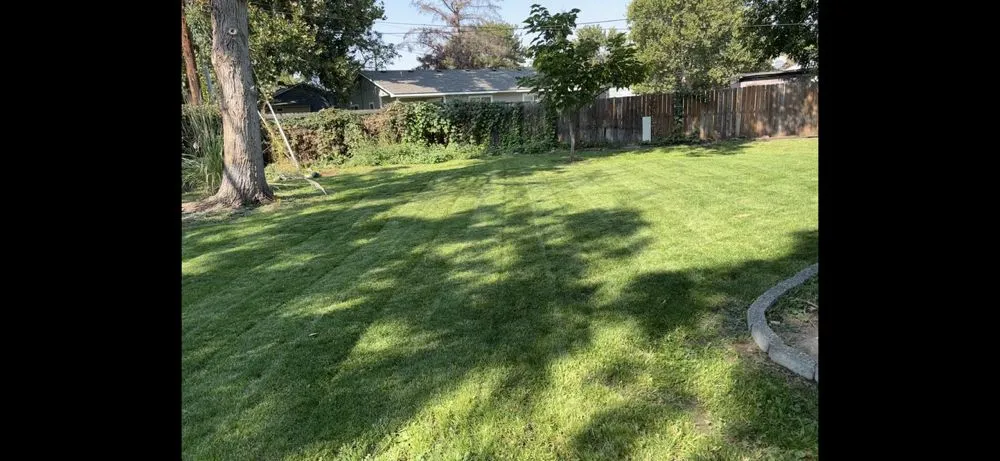 Top-rated landscape design experts serving Kennewick, WA - Luna Al Sol