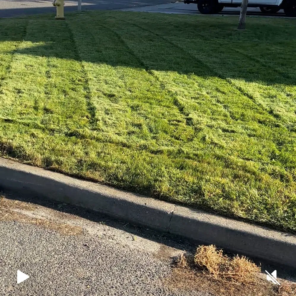 Affordable landscaping services for homes in Kennewick, WA by Luna Al Sol