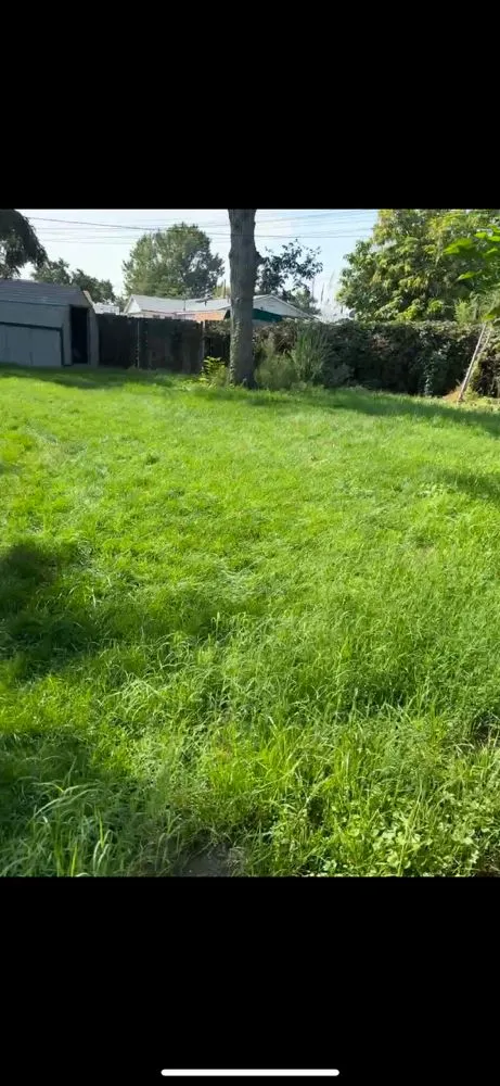 Expert residential landscaping experts serving Kennewick, WA - Luna Al Sol