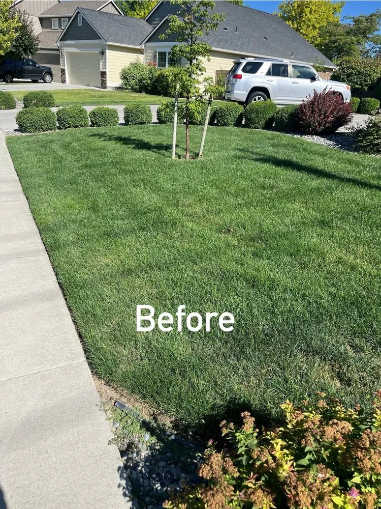 Custom residential landscaping experts serving Kennewick, WA - Luna Al Sol