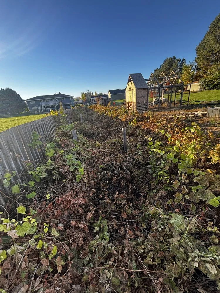 Top-rated yard maintenance for year-round maintenance across Kennewick, WA - Luna Al Sol