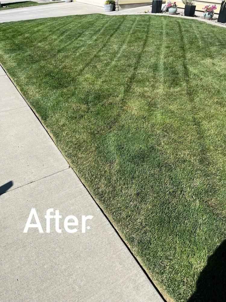 Professional garden landscaping for beautiful yards across Kennewick, WA - Luna Al Sol