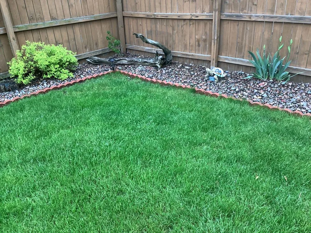 Trusted yard maintenance in Racine, WI by Luna Brothers Landscaping
