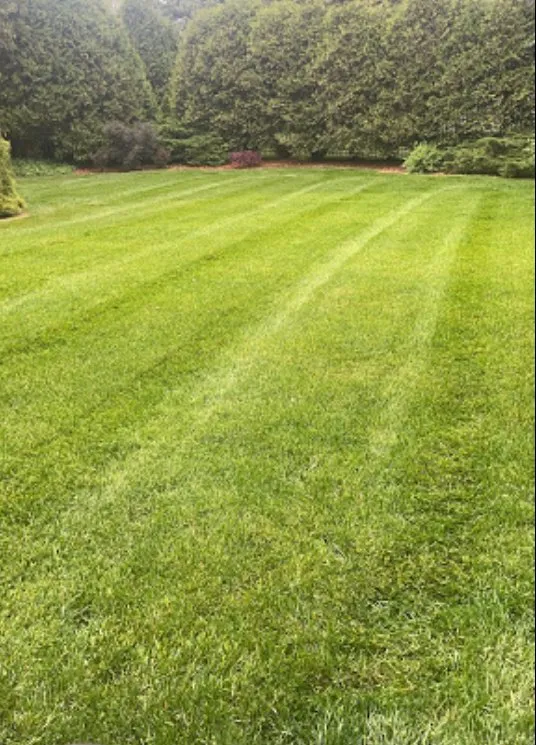 Top-rated lawn care service with custom design in Racine, WI by Luna Landscape Pro