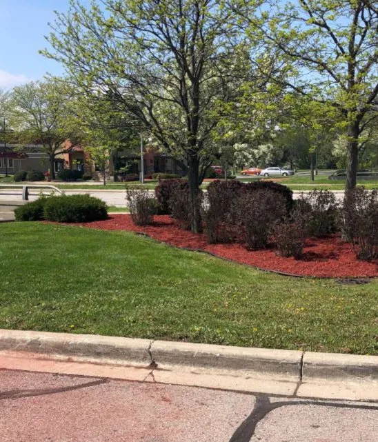 Reliable yard maintenance in Racine, WI - Luna Landscape Pro