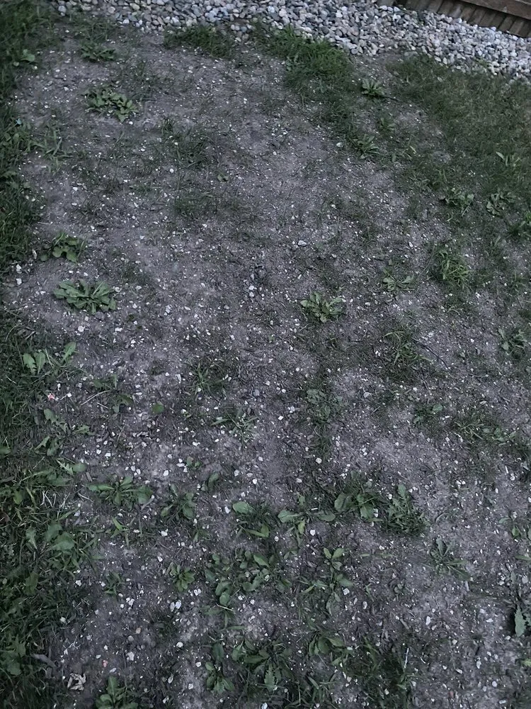 Top-rated landscaping services with custom design across Kankakee, IL - Luna landscaping