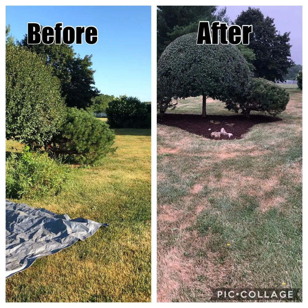 Trusted landscaping services experts serving Kankakee, IL - Luna landscaping