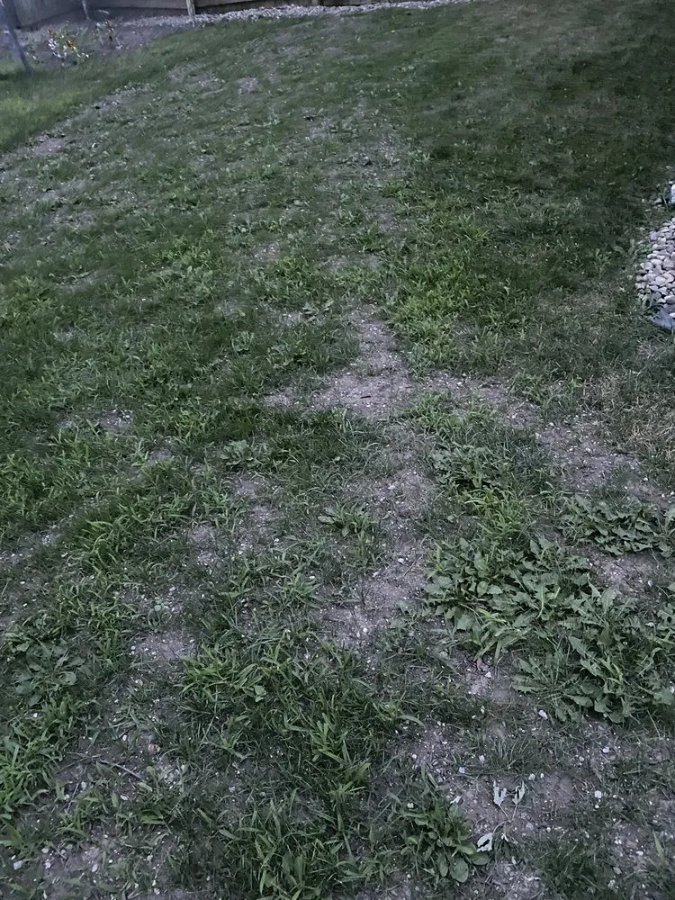 Reliable yard cleanup service for residential properties across Kankakee, IL - Luna landscaping