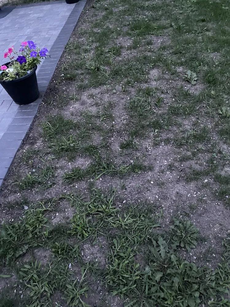 Custom lawn care service for beautiful yards across Kankakee, IL - Luna landscaping