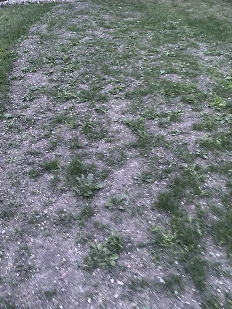 Reliable yard cleanup service in Kankakee, IL by Luna landscaping