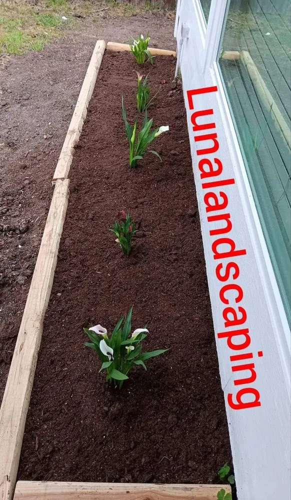 Expert lawn care service in Pflugerville, TX by Luna Landscaping