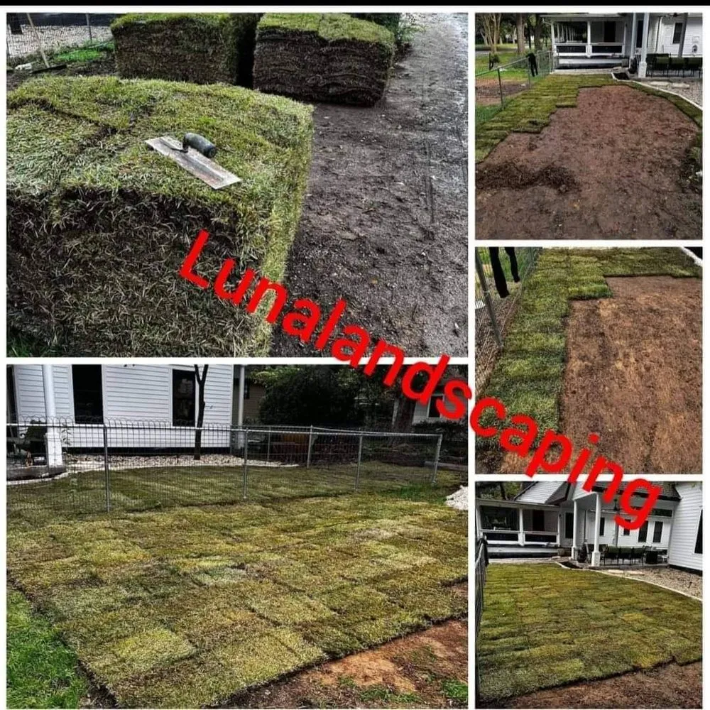 Custom outdoor landscaping for year-round maintenance in Pflugerville, TX by Luna Landscaping