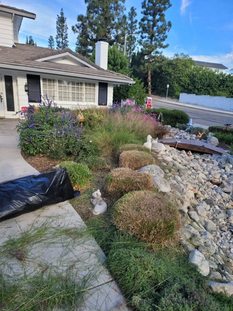 Professional lawn care service for year-round maintenance across La Habra, CA - Luna Landscaping Services