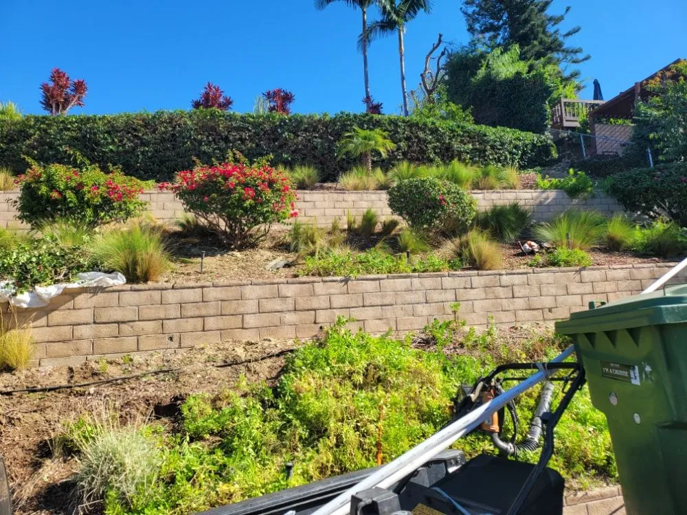 Expert landscape design for homes in La Habra, CA by Luna Landscaping Services