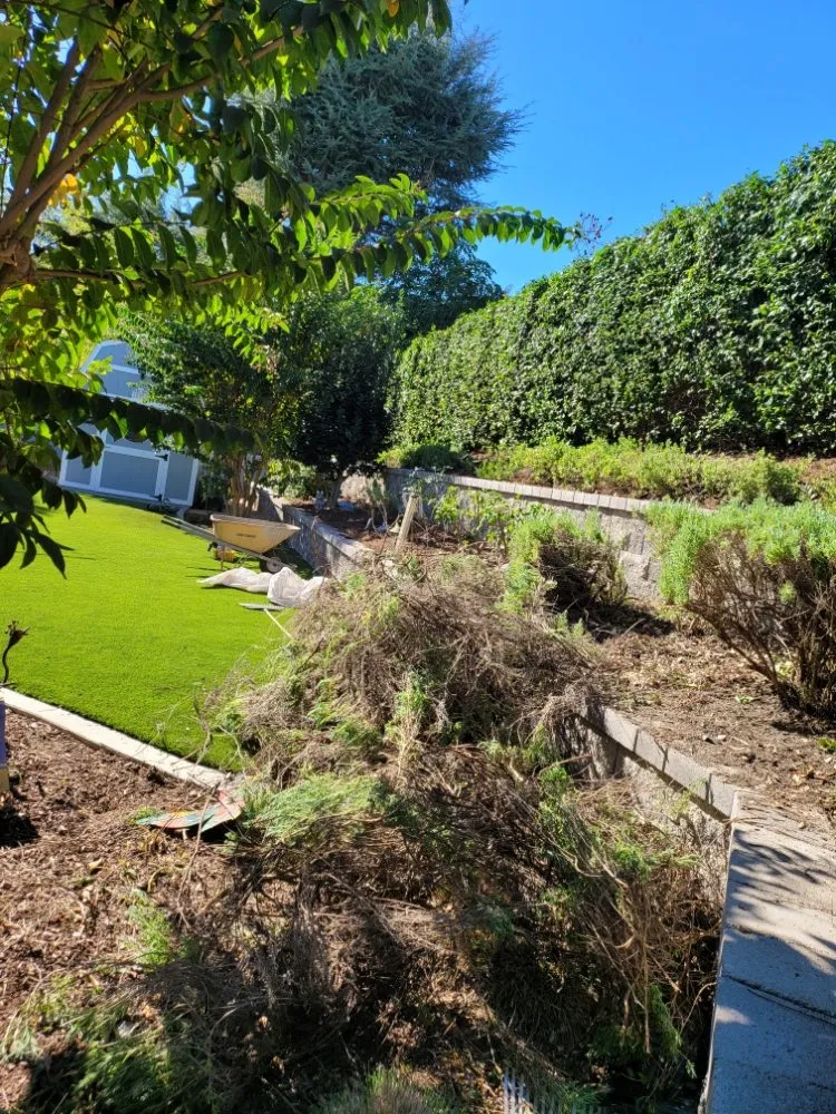 Custom yard maintenance for homes across La Habra, CA - Luna Landscaping Services