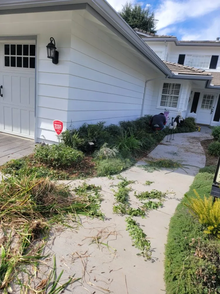 Professional lawn care service experts serving La Habra, CA - Luna Landscaping Services