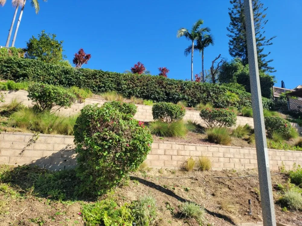 Top-rated lawn mowing service in La Habra, CA - Luna Landscaping Services