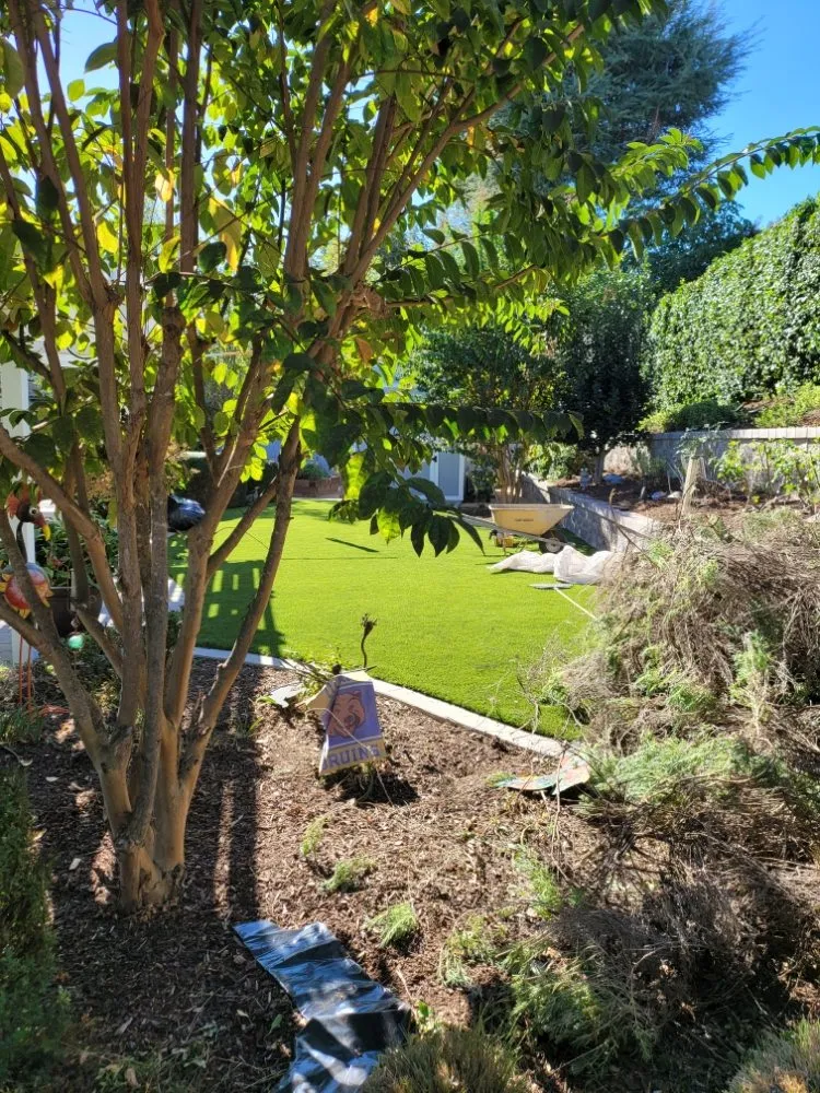 Expert lawn care service in La Habra, CA - Luna Landscaping Services