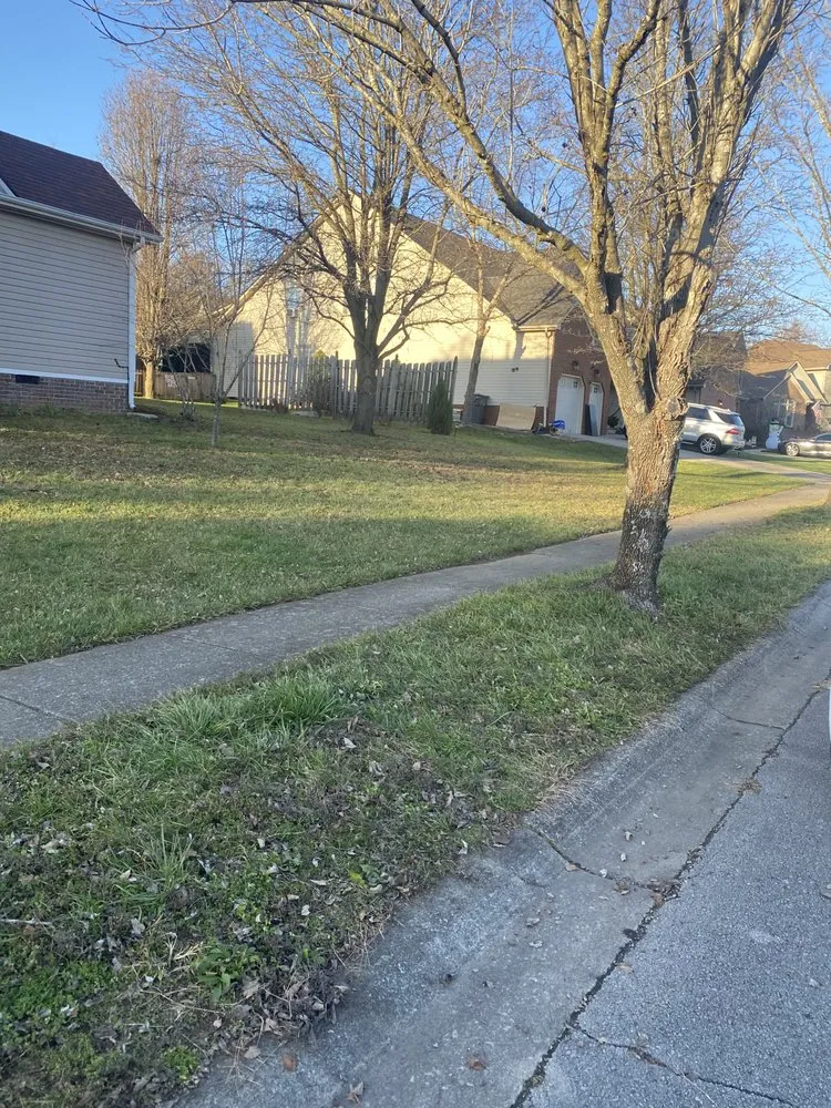 Trusted residential landscaping for beautiful yards in Lexington, KY by Luna Lawn and Landscaping Services