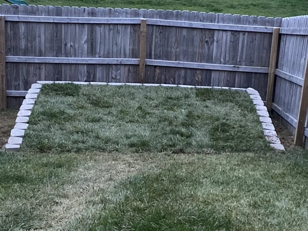 Professional yard cleanup service in Lexington, KY by Luna Lawn and Landscaping Services