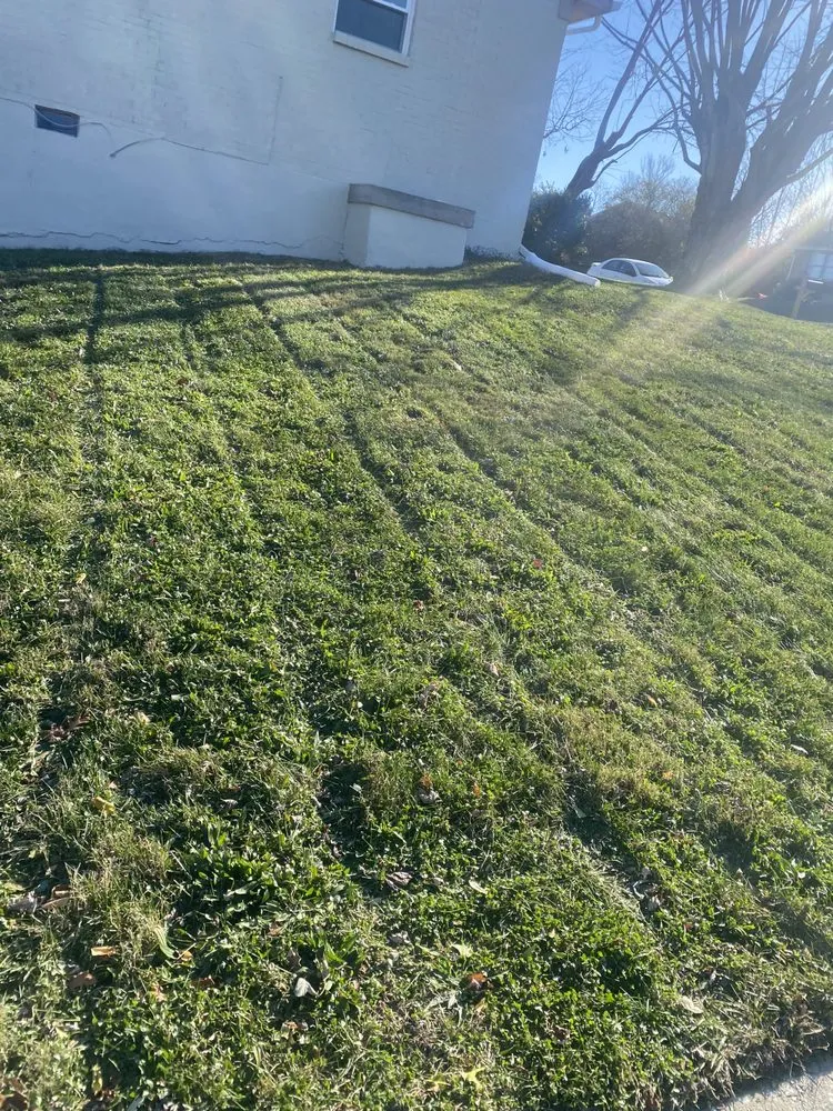 Custom landscaping services for year-round maintenance in Lexington, KY by Luna Lawn and Landscaping Services