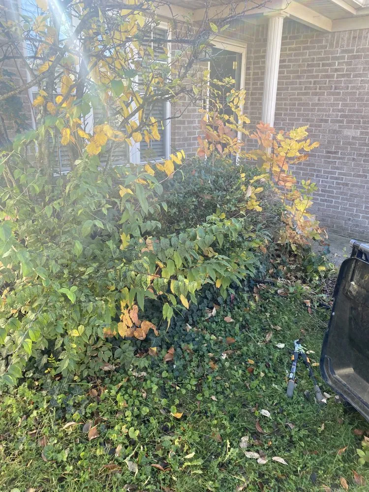 Custom residential landscaping for year-round maintenance in Lexington, KY by Luna Lawn and Landscaping Services