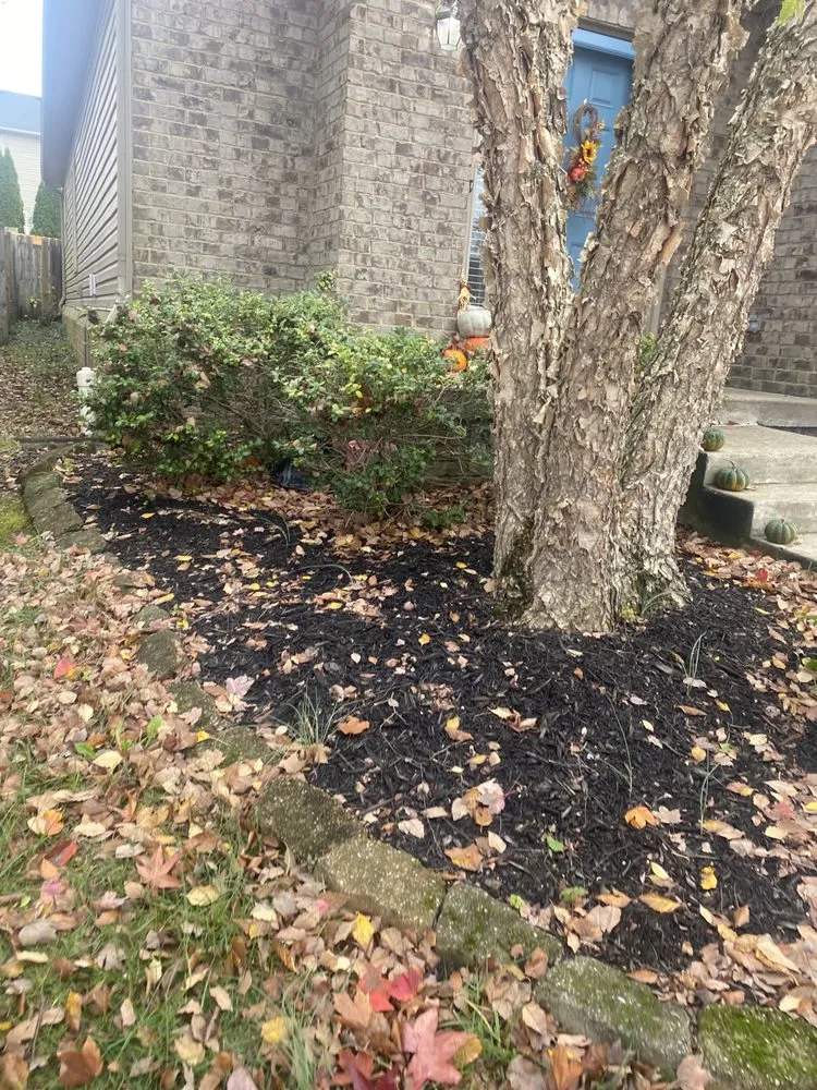 Custom landscaping services experts serving Lexington, KY - Luna Lawn and Landscaping Services