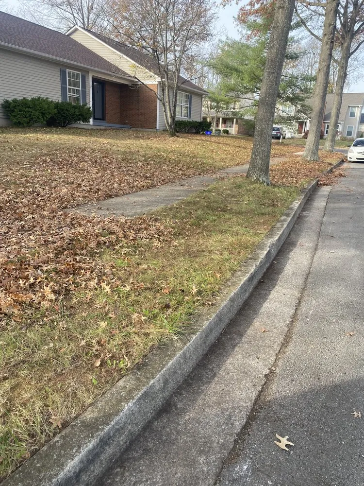 Affordable landscape design near you in Lexington, KY by Luna Lawn and Landscaping Services