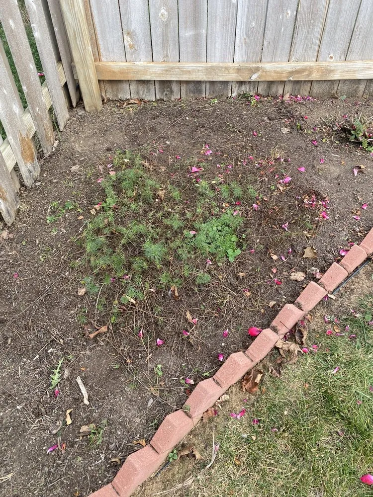 Affordable residential landscaping for residential properties in Lexington, KY by Luna Lawn and Landscaping Services