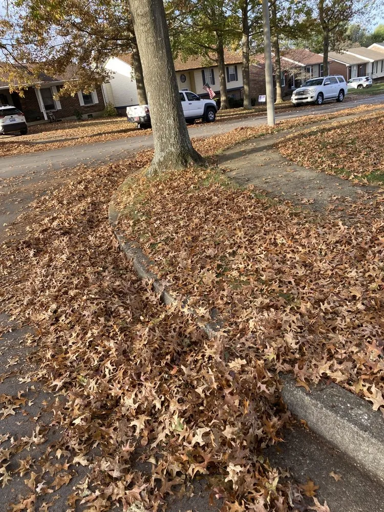 Local garden landscaping in Lexington, KY by Luna Lawn and Landscaping Services