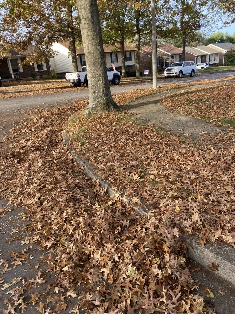 Affordable yard cleanup service in Lexington, KY by Luna Lawn and Landscaping Services